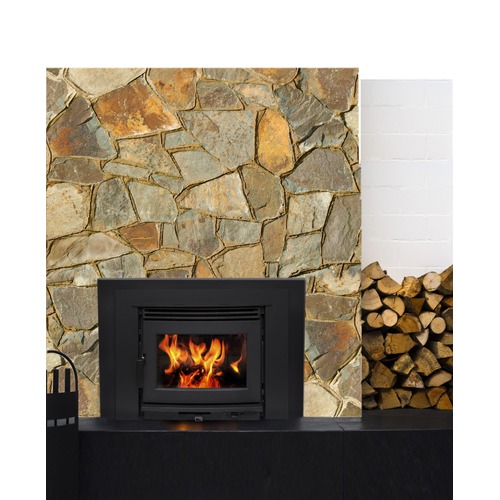 Pacific Energy Neo 2.5 Insert Wood Fire